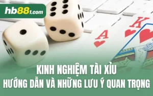 Kinh Nghiệm Tài Xỉu: Hướng Dẫn Và Những Lưu Ý Quan Trọng